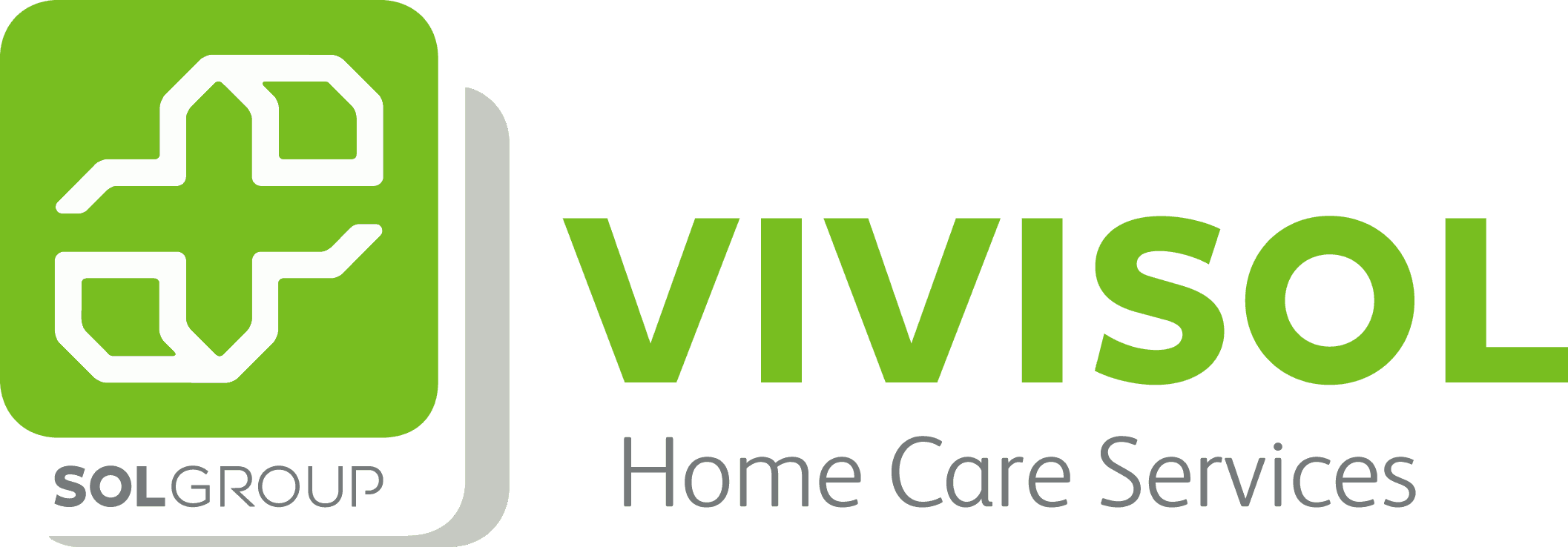 Logo VIVISOL SRL